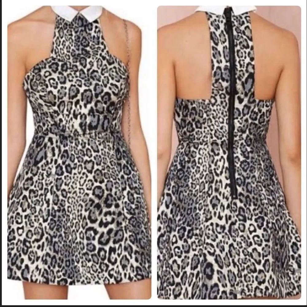 NASTY GAL Wild at Heart Fit n Flare Dress